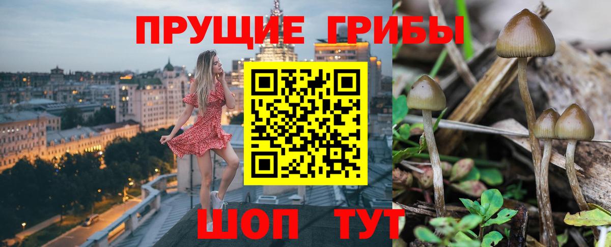 Псилоцибиновые грибы Magic Shrooms  Псилоцибиновые грибы прущие грибы  Вход с VPN  Барнаул 